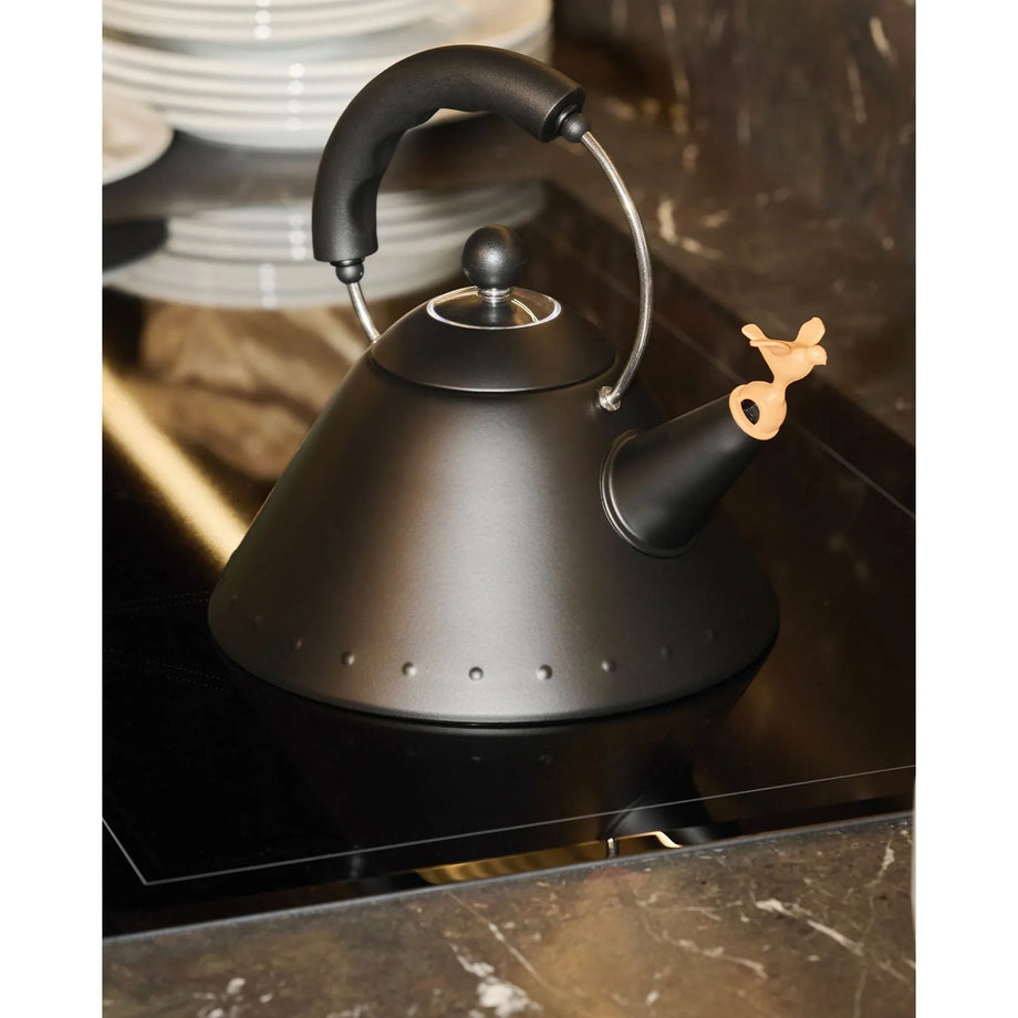 Bouilloire à induction Alessi 9093 BB – Noir