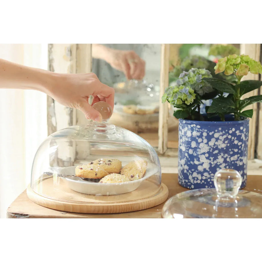 EtuHOME Recycled Glass Dome Cover with Wood Base - Medium — Floor Model
